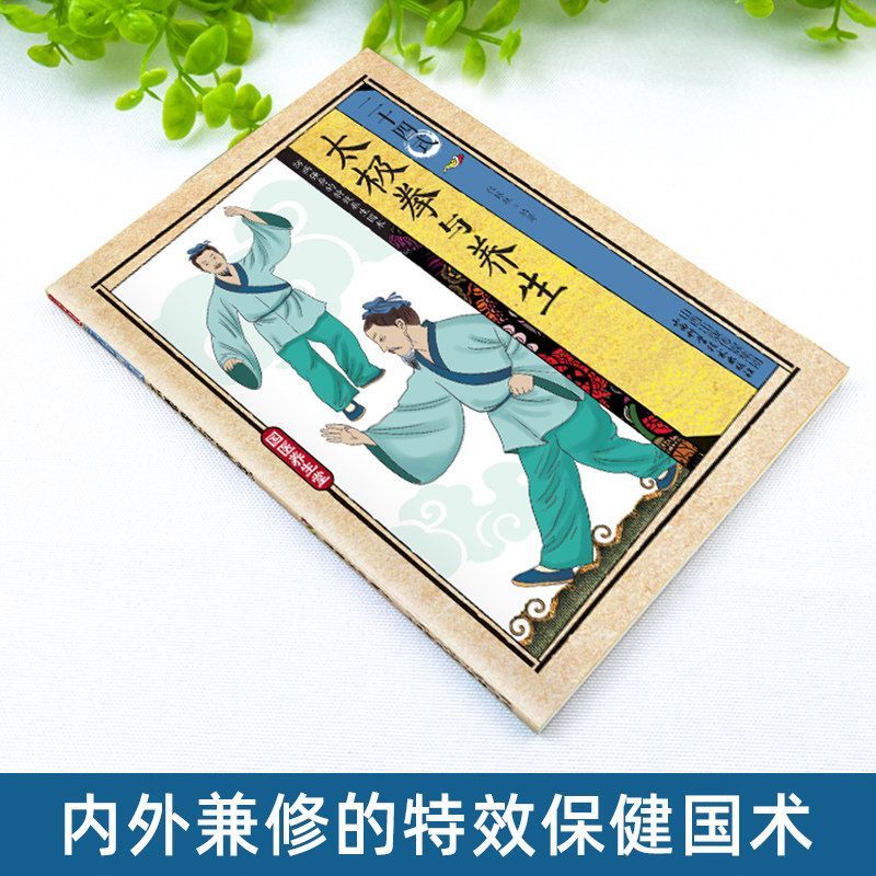 24 Estilos de Tai Chi y Ejerci - Health & Wellness Nurse Coach reseña y precio