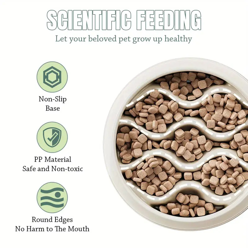 Platos de Alimentación Lenta c - Health Wellness Solutions reseña y precio