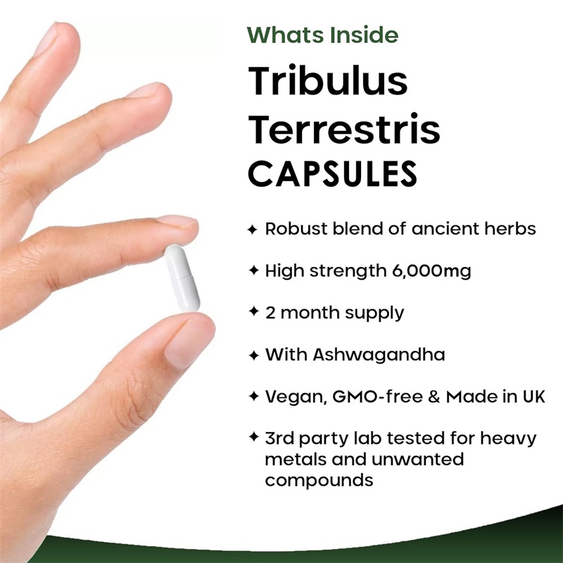 Tribulus Terrestris 6000MG: ap - Health And Wellness Promotion reseña y precio
