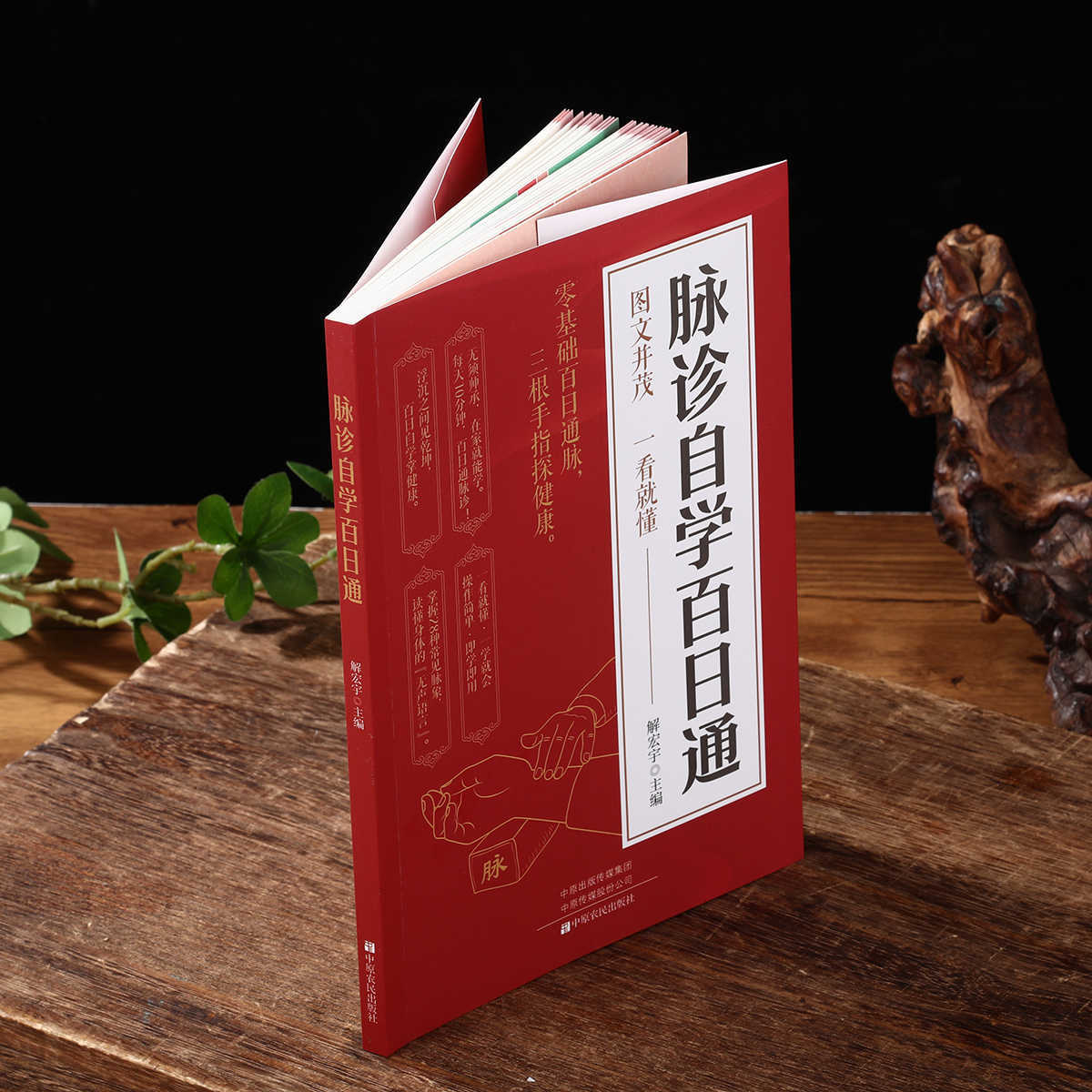 Libro de autoestudio sobre dia - Health & Wellness Nurse Coach reseña y precio