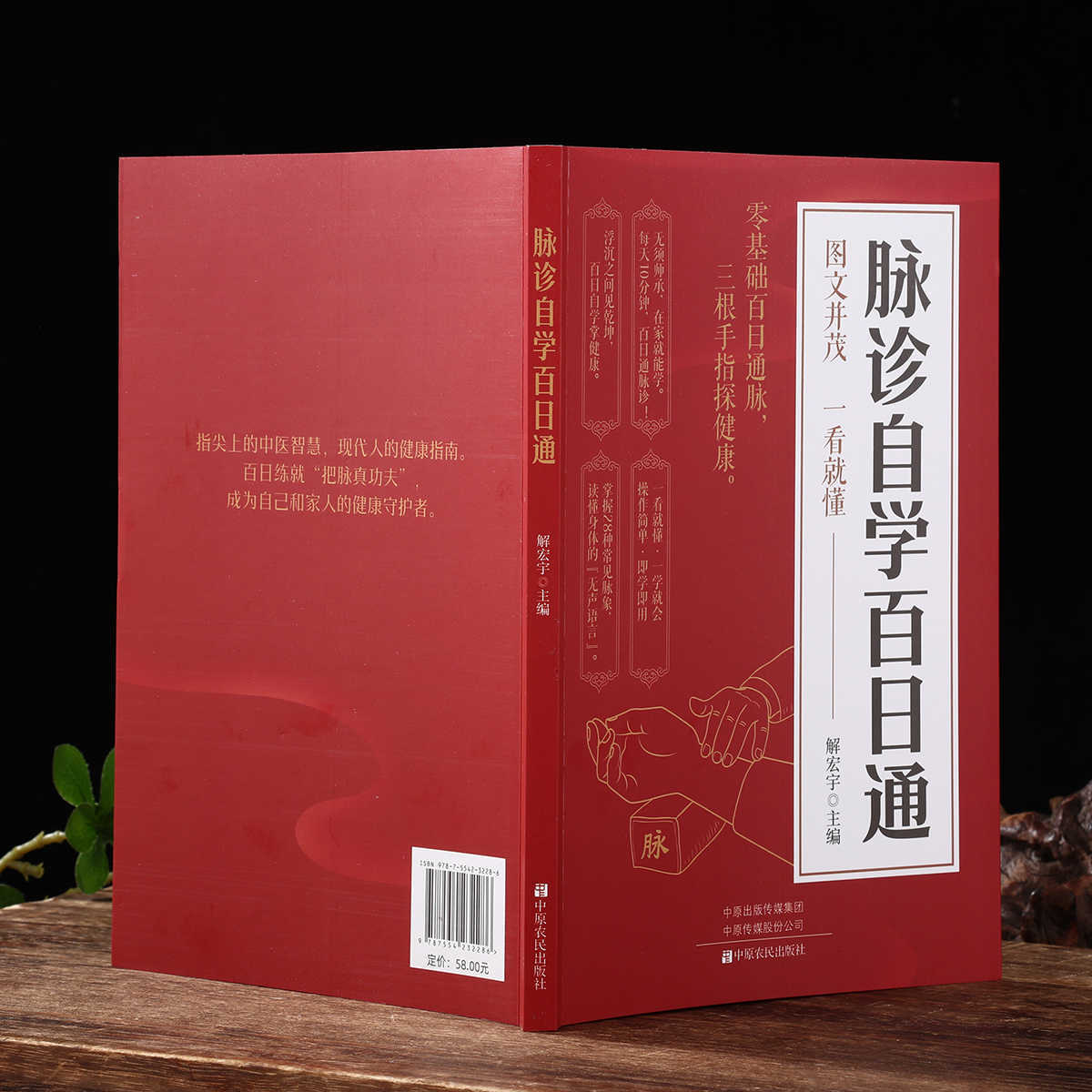 Libro de autoestudio sobre dia - Health & Wellness Nurse Coach reseña y precio