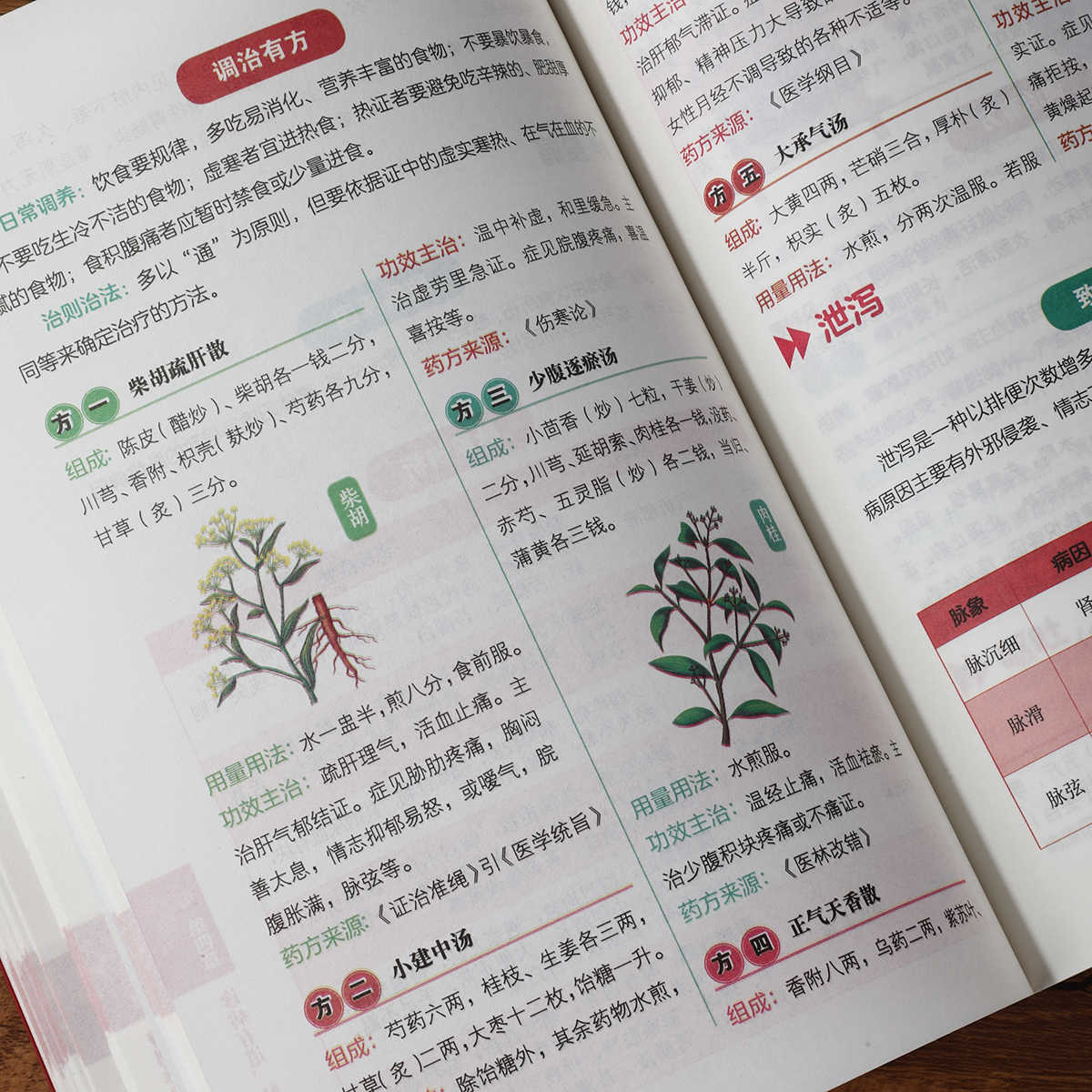 Libro de autoestudio sobre dia - Health & Wellness Nurse Coach reseña y precio